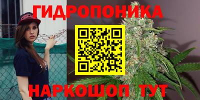 первитин Гусев