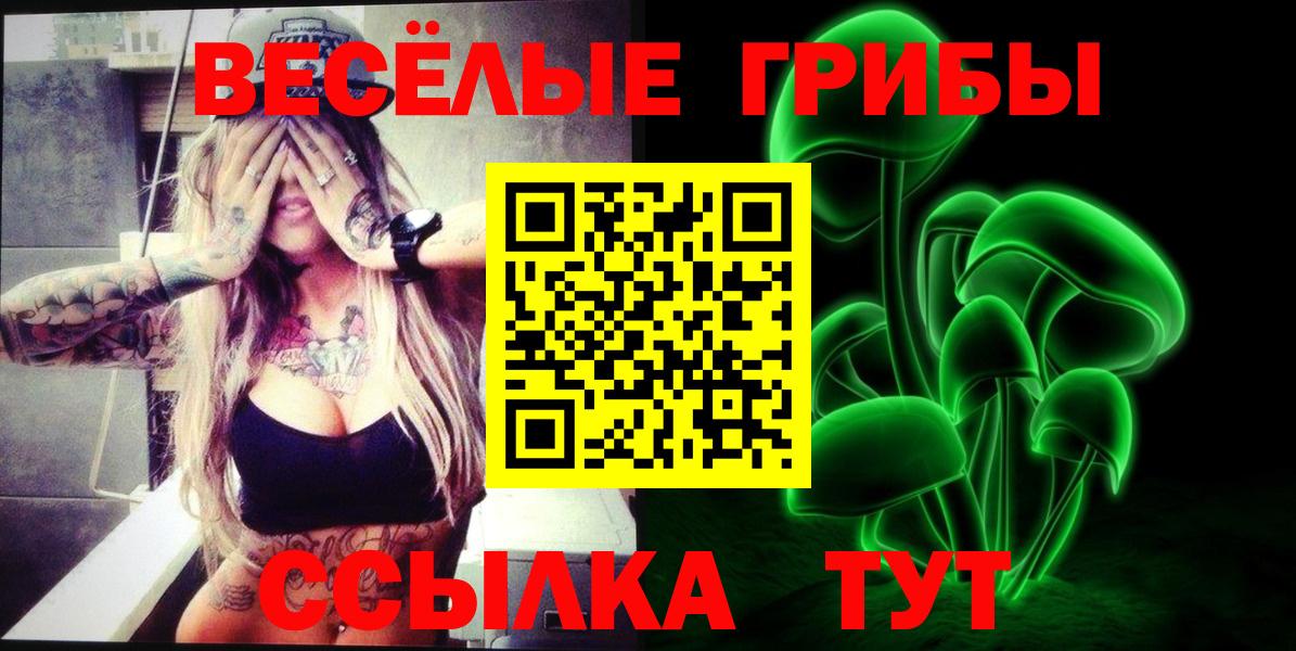 Нефтекумск  Галлюциногенные грибы GOLDEN TEACHER  Вход с VPN 