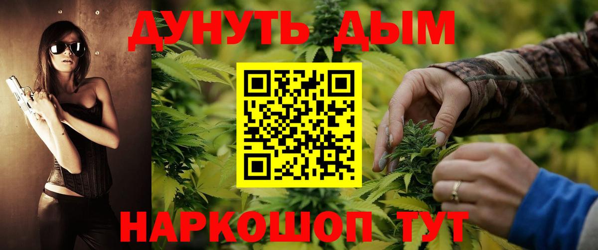 Канабис план  Канабис сатива  Вход с VPN  Нефтекумск 